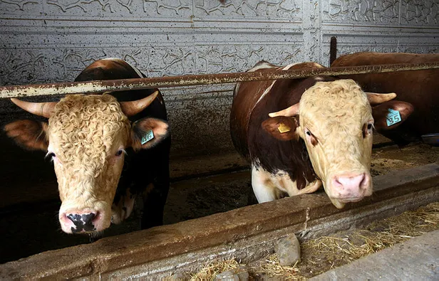 16 Temmuz tatil mi? 16 Temmuz 2021 Cuma günü idari tatil yapılacak mı? İşte son açıklamalar...