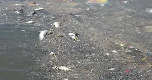 İzmir oksijensiz kaldı