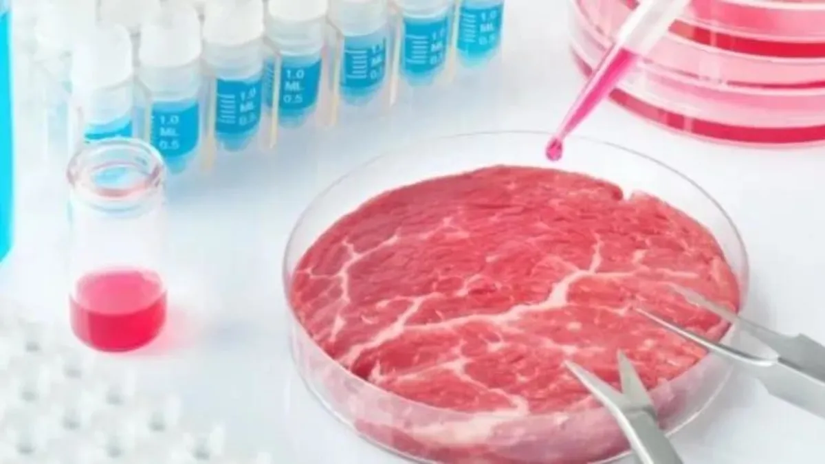 ABD’de Florida eyaleti yapay eti yasakladı! Alabama’da da yasaklanıyor