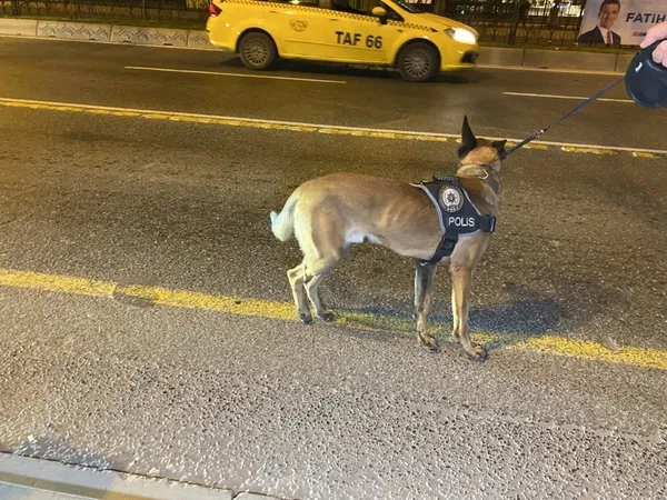 istanbul-genelinde-huzur-uygulamasi-narkotik-kopekler-ile-araclar-didik-didik-arandi-1708555087145.jpeg İstanbul genelinde huzur uygulaması! Narkotik köpekler ile araçlar didik didik arandı - 2