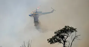 O ülkede yangın söndürme uçağı düştü