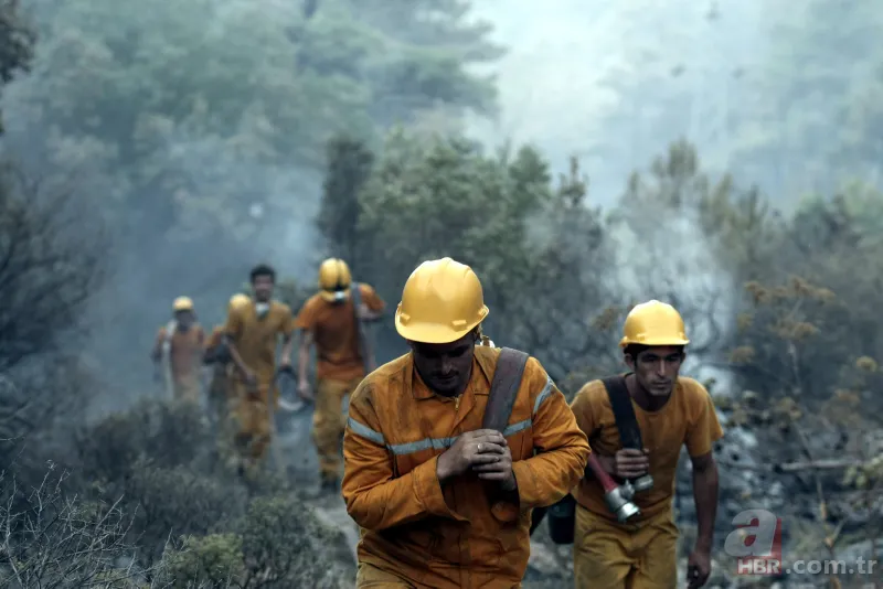 Orman Genel Müdürlüğü mevsimlik işçi alımı 2022 | Bakanlık duyurdu! Karar Resmi Gazete'de! İş arayanlara güzel haber 5