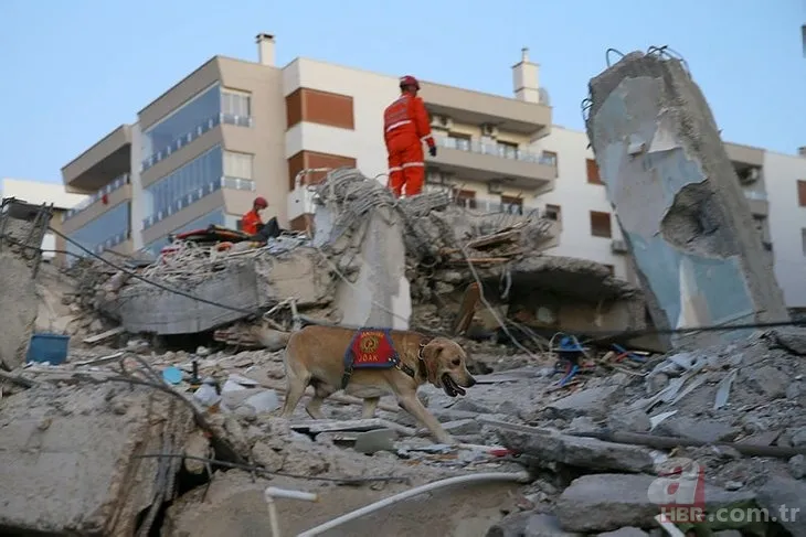 İzmir depremi son dakika! İzmir depremi kaç kişi öldü, yaralandı? 30 Ekim İzmir depremi ölenlerin listesi... 19