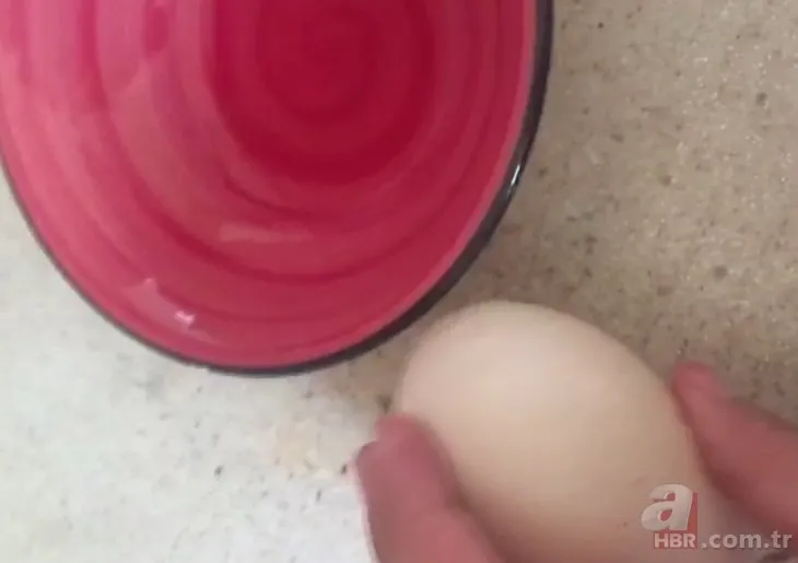 Beslediği tavuğun yumurtasını almak için kümese girdi! 🐔Yumurtanın içinden çıkan şoke etti | Böyle bir şey görmedik