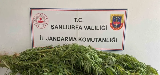 Zehir tacirlerine geçit yok: 2 gözaltı