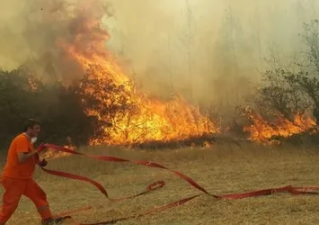 İzmir'de korkutan orman yangını