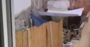 Köpeğe eziyet eden vicdansız yakalandı!