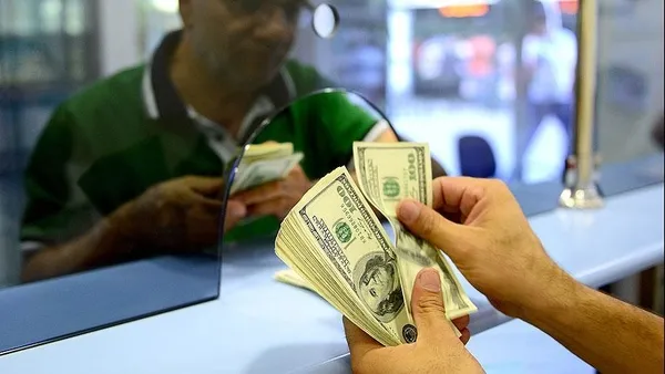 Ekonomist görünümlü spekülatör! "Dolar 50 TL olacak" diyerek vatandaşı dolandırdılar - 2