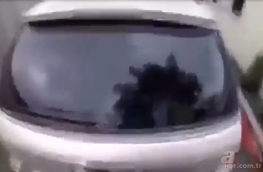 Yeni Zelanda'da camiye silahlı saldırı! İşte saldırı anına ait görüntüler... 1