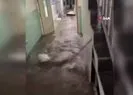 Çin’de heyelan! Ölü ve yaralılar var