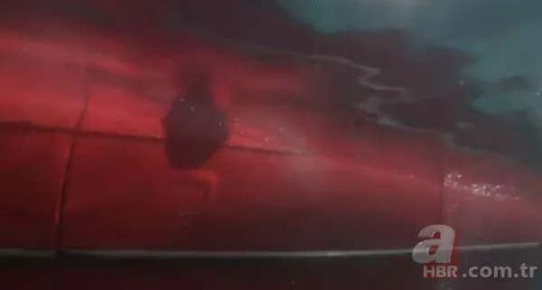 Pratik bilgiler! Limonu mikrodalgada 20 saniye ısıttığınızda sonuç inanılmaz 19