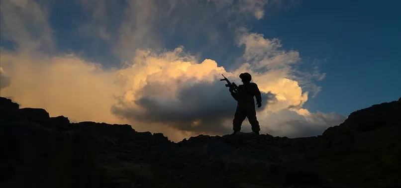 Son dakika: Tunceli'de 2 terörist öldürüldü