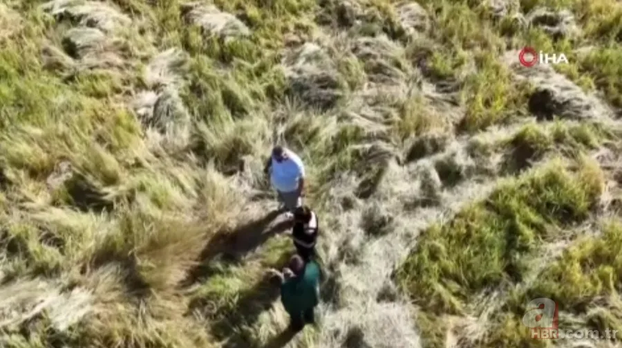 Tesadüfen keşfedildi adeta protein deposu! 6 yıllık nadas sonrası ortaya çıkıyor faydaları say say bitmiyor 2