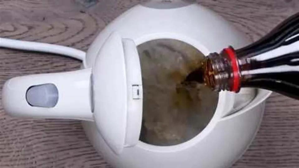 Kola hakkında bilmeniz gerekenler
