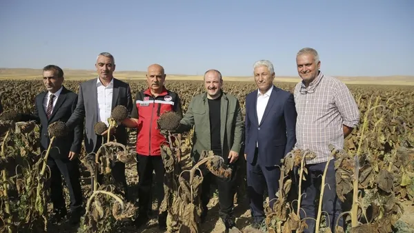 Türkiye’nin ilk yerli ve milli hibrit ayçiçeği tohumu üretildi! Sanayi ve Teknoloji Bakanı Mustafa Varank: Rekor bekleniyor - 2