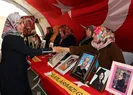 Diyarbakır annelerine destek ziyaretleri sürüyor