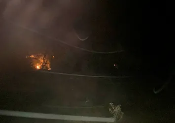Uşak'ta orman yangını