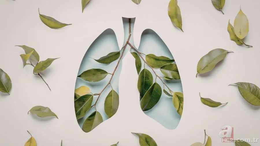 5 Mart ne günü? Yeşilay Haftası ne zaman başlıyor, neden kutlanıyor? 8