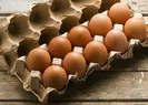 Avrupada yumurta alarmı!