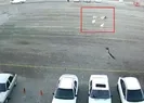 Köpeklerin öğrenciye saldırısı kamerada!