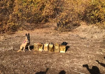 Son dakika: Bitlis'te 100 kilogram patlayıcı madde ele geçirdi