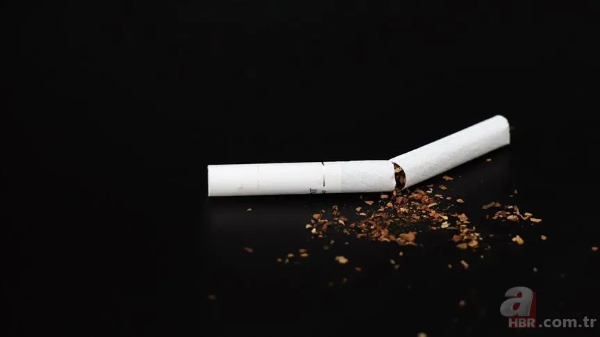 Yeni sigara fiyatları 2022 listesi: 15 Ekim JTI, BAT, Philip Morris, Tekel zamlı sigara fiyatları ne kadar, kaç TL oldu? 10