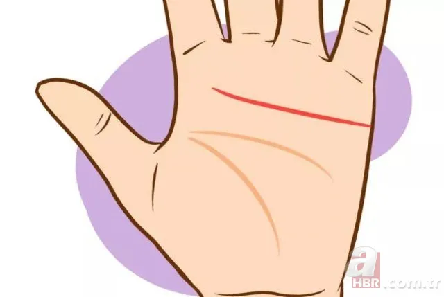 avuc ici cizgileri ile ilgili bilmeniz