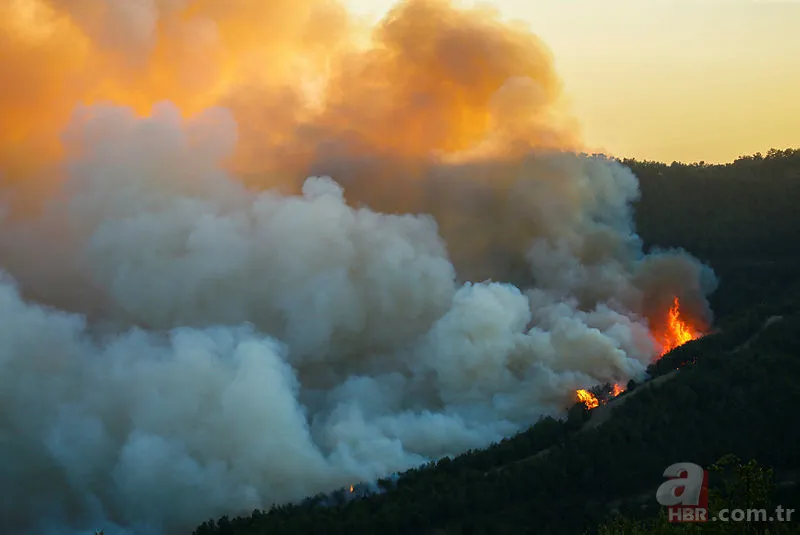 İzmir orman yangını son durum | İzmir yangın son dakika söndürüldü mü? 11