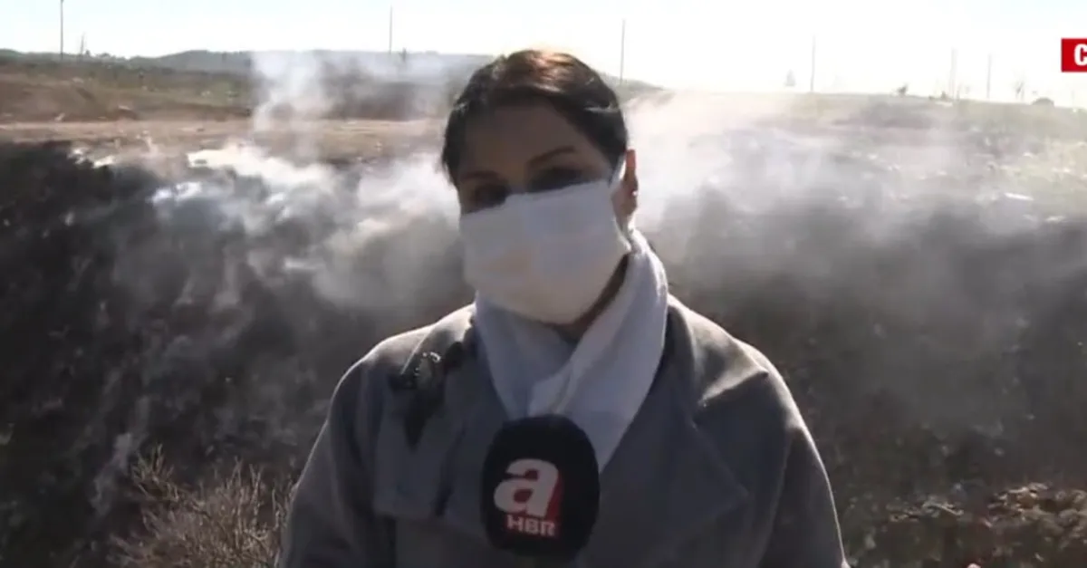 Son dakika: İzmir'de çevre katliamı