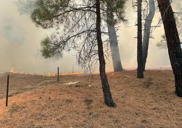 Antalya'da orman yangını: Havadan ve karadan müdahale ediliyor