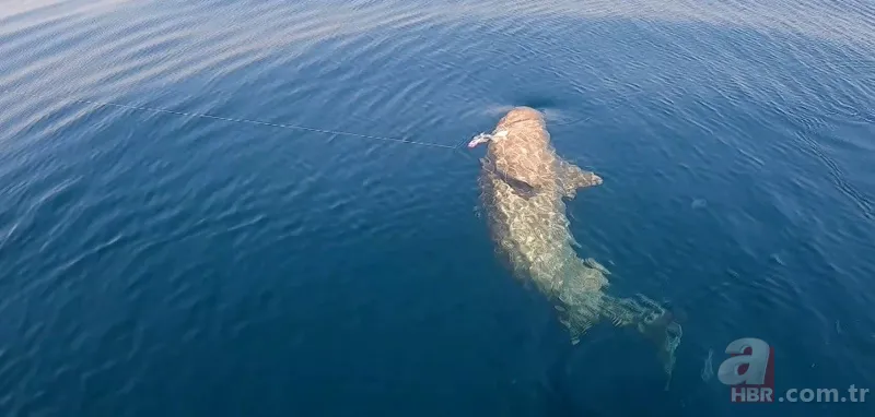 Levrek yakaladığını zannetti! Oltasına takılan balığı görünce gözlerine inanamadı 9