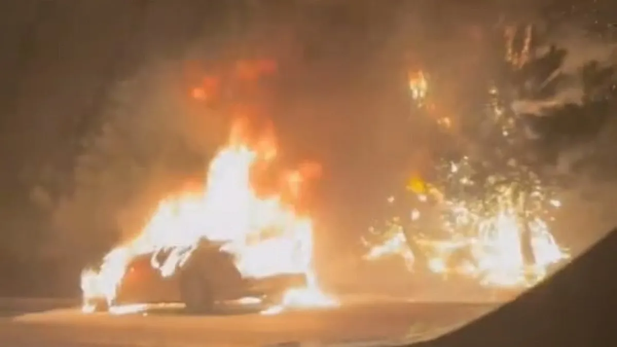 Bursa'da korkunç yangın! Otomobildeki alevler ormana sıçradı