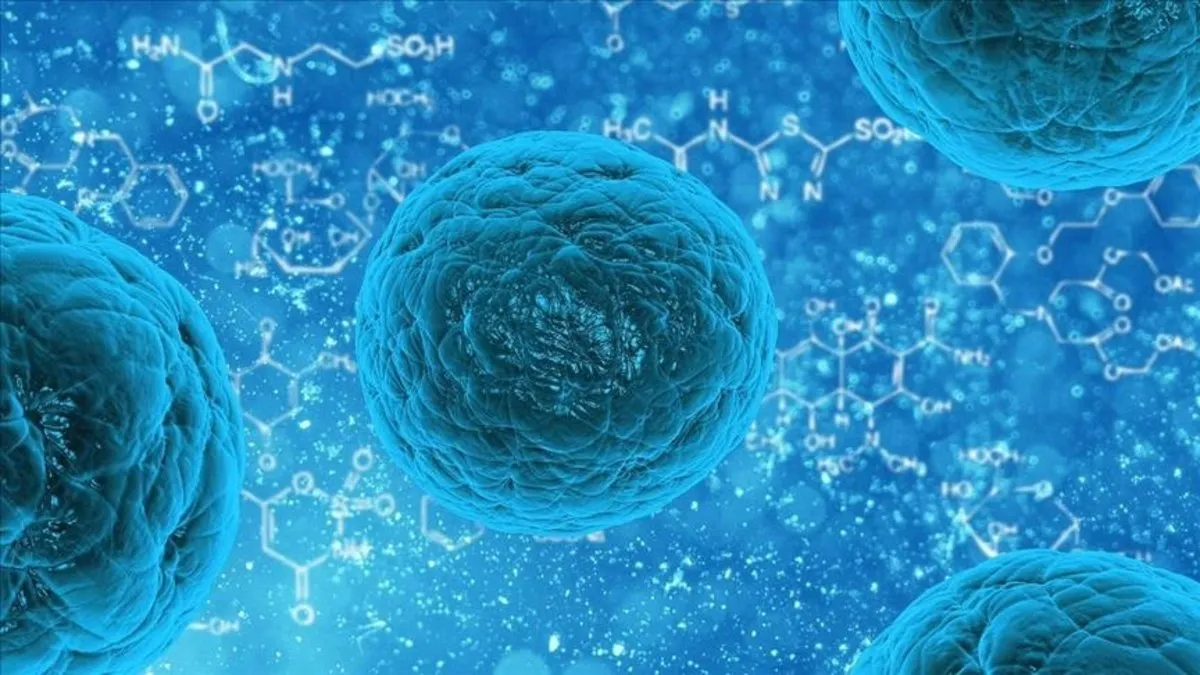 Kanser hastalarına özel sağlıklı beslenme tavsiyeleri