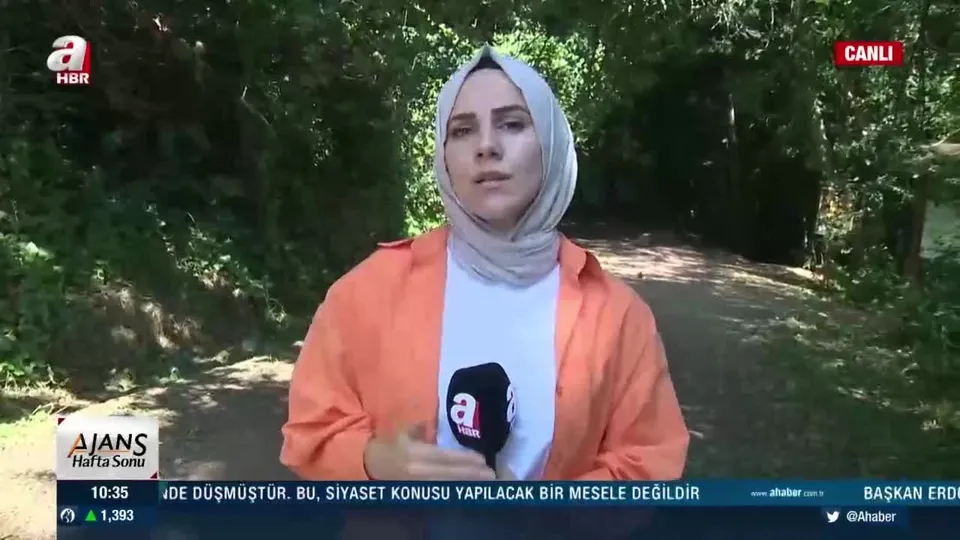 Ormanlarda piknik yasağına uyuluyor mu?