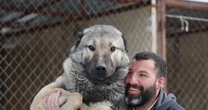 Uzmanı açıkladı: Kangallar sıcakta yaşayabilir mi?