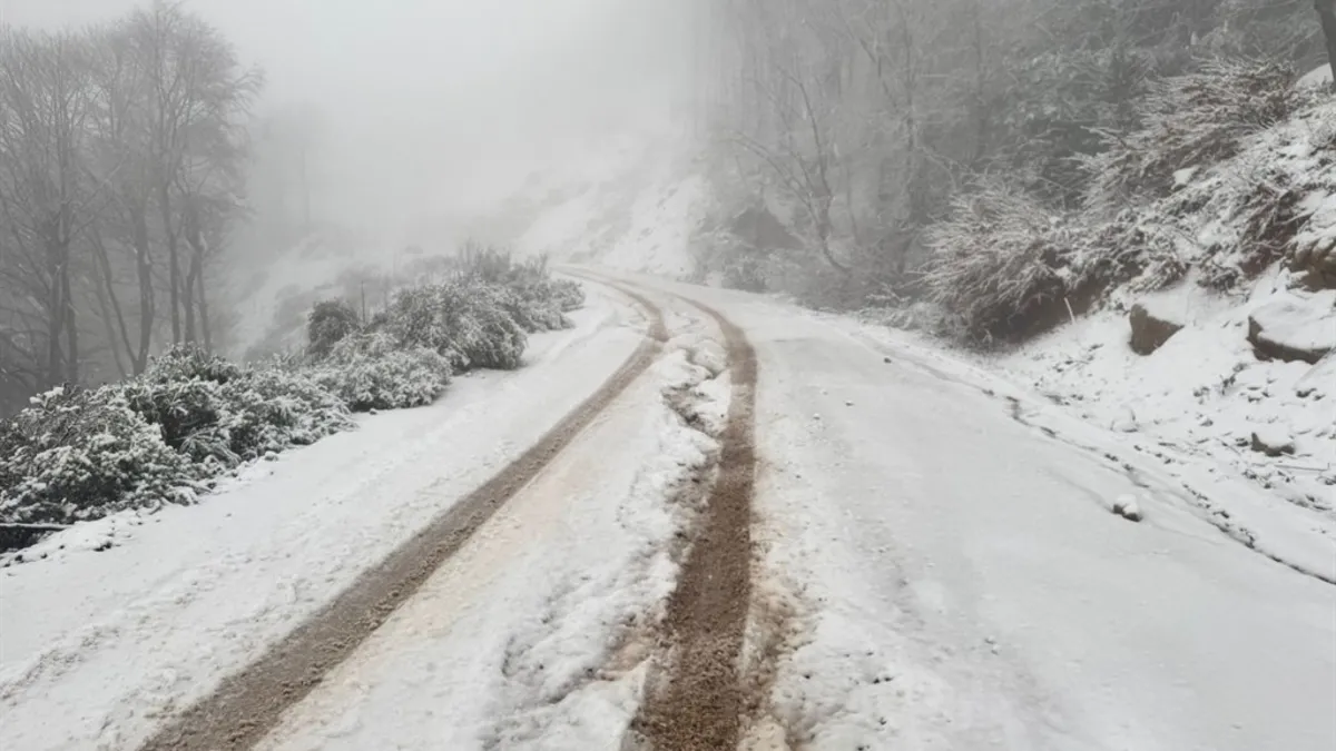 Erdek ilçesinde kar yağışı etkili oldu
