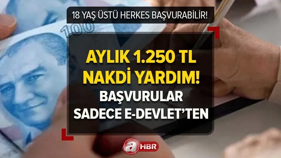 18 yaşını dolduran herkes başvurabilir! Kişi başına 1.250 TL para yardımı! e-Devlet'ten başvuran PTT'den nakit çekebiliyor!