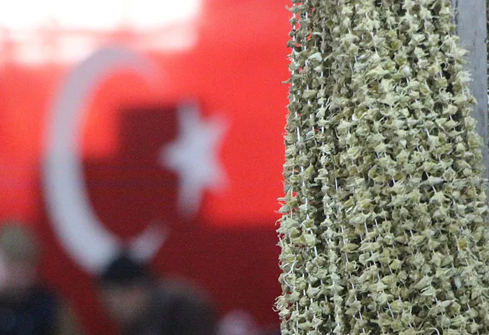 Çiçek bamyanın ekonomiye katkısının 367 milyon TL olduğunu söyledi. (İHA)