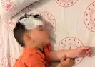 Başıboş köpek dehşeti