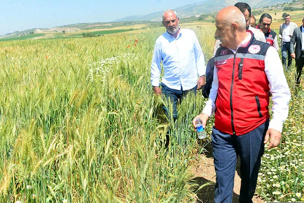 tarim-ve-orman-bakani-vahit-kirisci-bugdayda-beklenen-21-milyon-ton-rekolte-turkiyenin-ihtiyacinin-karsilanmas-1684956413216.jpg Tarım ve Orman Bakanı Vahit Kirişci'den buğday taban fiyatı açıklaması: Açıklanacak fiyat üreticilerimizi mutlu edecek - 8