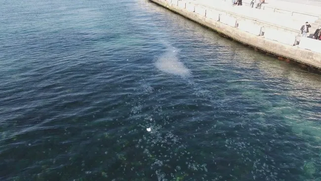 İstanbul Boğazı’nda denizanası istilası sualtından görüntülendi