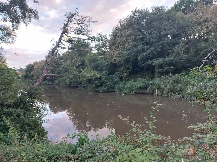 Cennet Riva ölüyor! 27 aydır Ekrem İmamoğlu'nun keyfini bekliyor 1