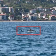 Tekneyle açıldı! Böyle görüntüledi