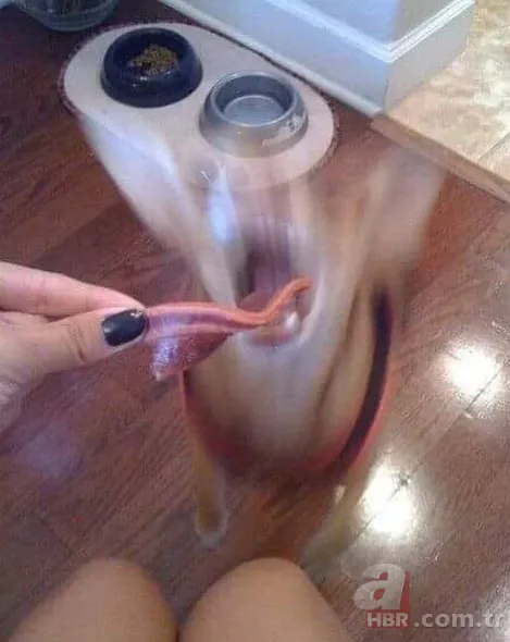 Anlamsız fotoğraflar 7