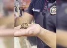 Alevlerin ortasında bir damla hayat