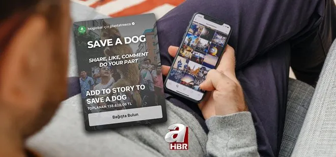 Instagram Save A Dog bağışı nedir, amacı ne? Çin Yulin Köpek Eti Festivali’ne ’DUR’ kampanyası!