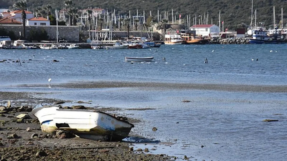 İzmir'de deniz suyunun çekilmesi deprem habercisi mi? Panik yaratan olay