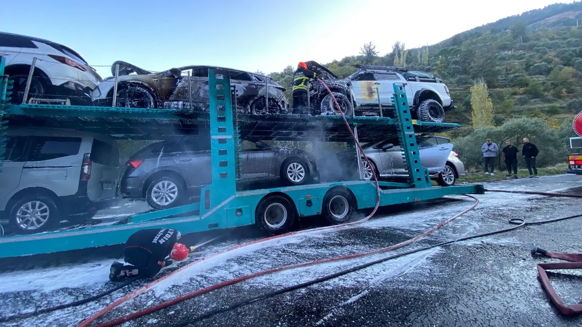 Bozdoğan'da araç yüklü TIR alev alev yandı! Büyük çaplı maddi hasar oluştu