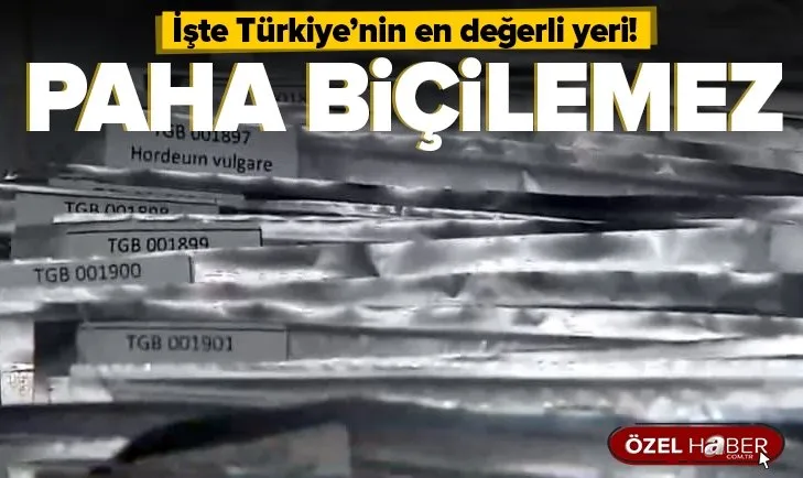 İşte Türkiye’nin Tohum Gen Bankası! Binlerce çeşit geleceğe aktarılıyor