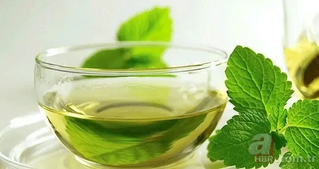 İbn-i Sina binlerce yıl önce yazdı: 1 asır yaşamanın sırrı bu reçetede... 5